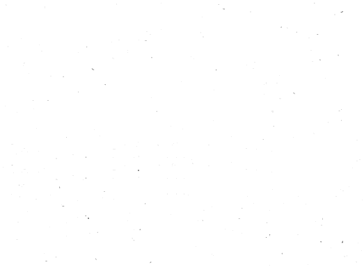watermark